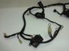 Wire Harness Yamaha TDM