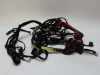 Wire Harness Yamaha XSR 900