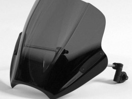 Windscherm Aprilia Mana 850