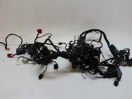 Kabelboom Aprilia RS 660