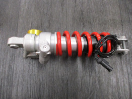 Rear cushion BMW S 1000 R