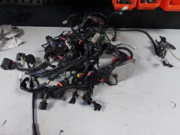 Wire Harness Aprilia Shiver 750