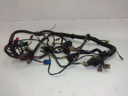 Wire Harness Yamaha FZ 750