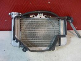 Radiator Honda Dylan