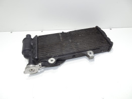 Radiateur BMW F 650 GS