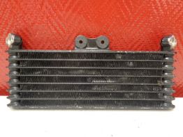 Olkuhler Honda CBR 1100 XX