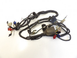 Kabelboom Honda CB 600 F