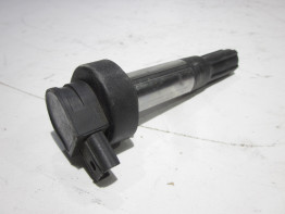 Ignition Coil BMW S 1000 R