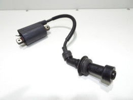 Zundspule Yamaha TDM