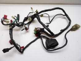 Wire Harness Honda CBR 600 F