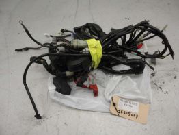 Wire Harness Yamaha YZF R 125