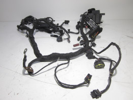 Wire Harness BMW S 1000 R