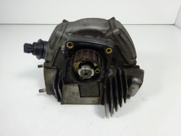 Cilinderkop Ducati monster 600