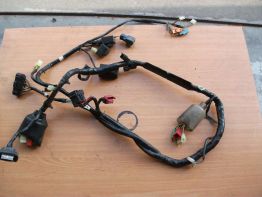 Kabelbaum Honda CBR 600 F