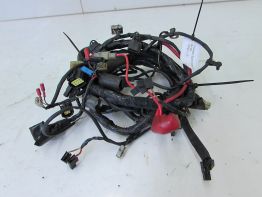 Wire Harness Triumph Sprint 900 Executive