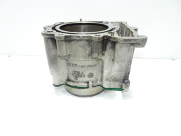 Cilinderblok BMW F 650 GS