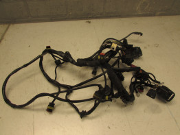 Wire Harness Ducati Multistrada 1000