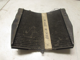 Radiator Suzuki GSX R 750