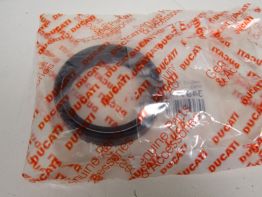 Voorpoot binnen Ducati 848 Streetfighter