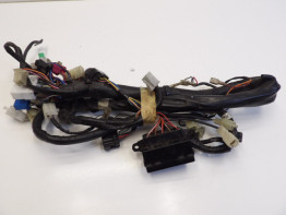 Wire Harness Yamaha FAZER 600
