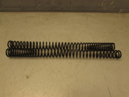 Voorpoten Triumph Tiger