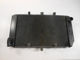 Kuhler Kawasaki Z 750