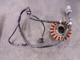 Lichtmaschine Triumph Tiger 660 Sport