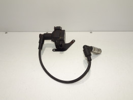 Bobine BMW F 650 GS