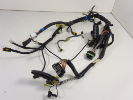 Kabelboom Cagiva Raptor 650