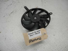 Fan Suzuki GSX R 750