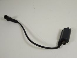 Bobine Ducati Monster 800