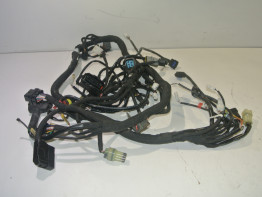 Kabelboom KTM 1190 Adventure