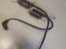 Bobine Aprilia RSV 1000