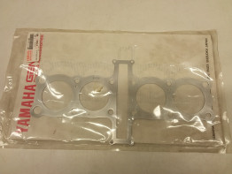 Cilinderkop Yamaha FJ 1100