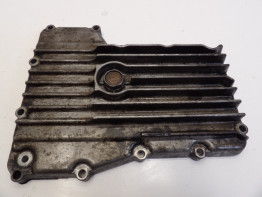 Carterpan Suzuki GS 1000
