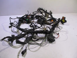 Wire Harness BMW R 850 R