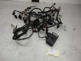 Kabelbaum Yamaha FJR 1300