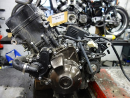 Motorblok Yamaha XSR 900