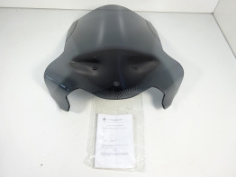 Windschild BMW F 800 R