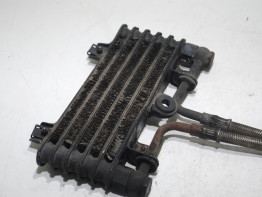 Olkuhler Triumph 900 Daytona