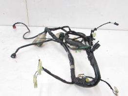 Kabelboom Honda CBF 600