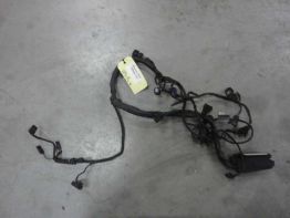 Kabelboom BMW F 650 GS