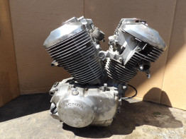 Motorblok Honda VT 750 Shadow