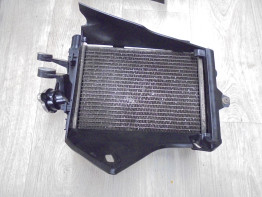 Radiateur BMW R 1250 GS Adventure
