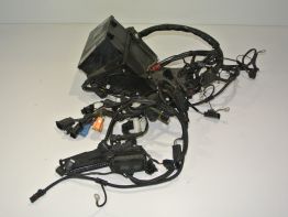 Kabelboom BMW R 1150 R rockster