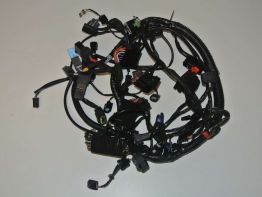 Wire Harness Triumph Tiger 800 xc