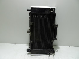 Radiator Yamaha FZ6