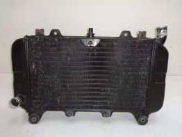 Kuhler Kawasaki ZZR 600