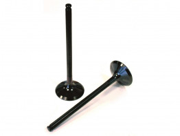 Uitlaat BMW S 1000 RR