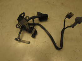 Kabelboom voor Honda ST 1100 Pan European